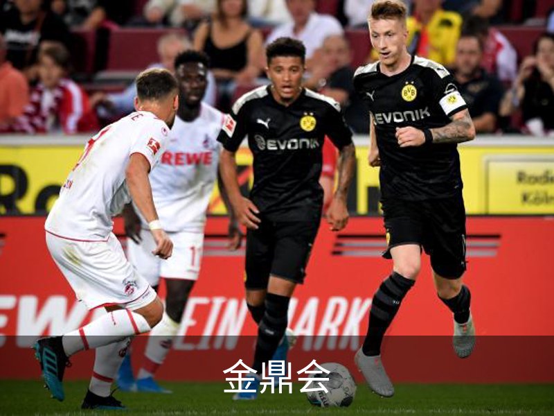 金鼎会体育（中国）官方网站